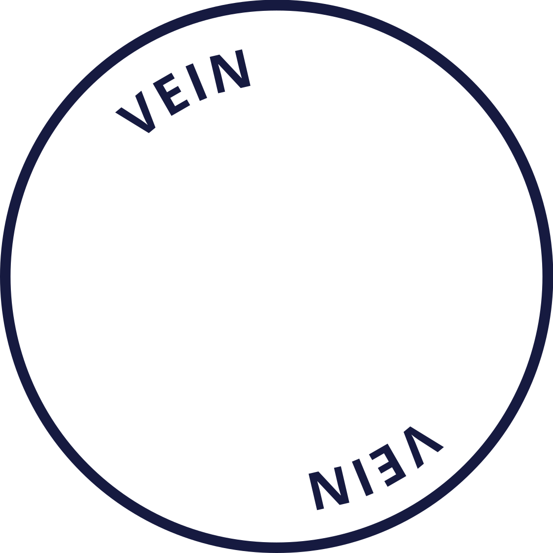 The Vein Company Logo- Now in Chattanooga